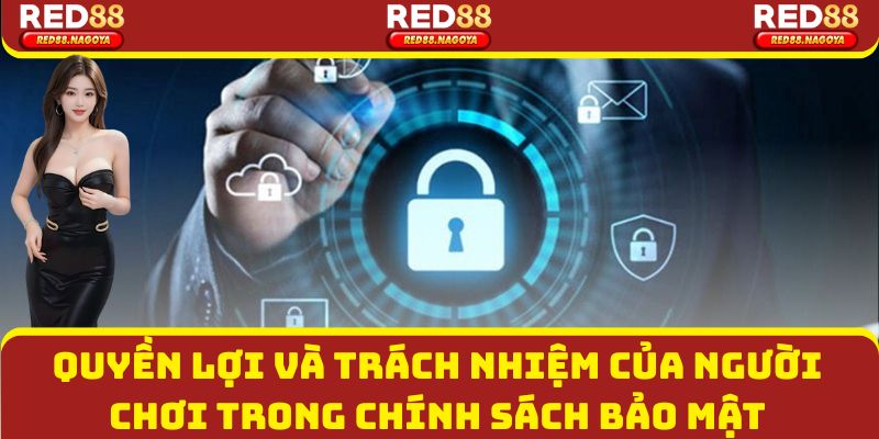 Quyền lợi và trách nhiệm không thể bỏ qua của người chơi trong chính sách bảo mật