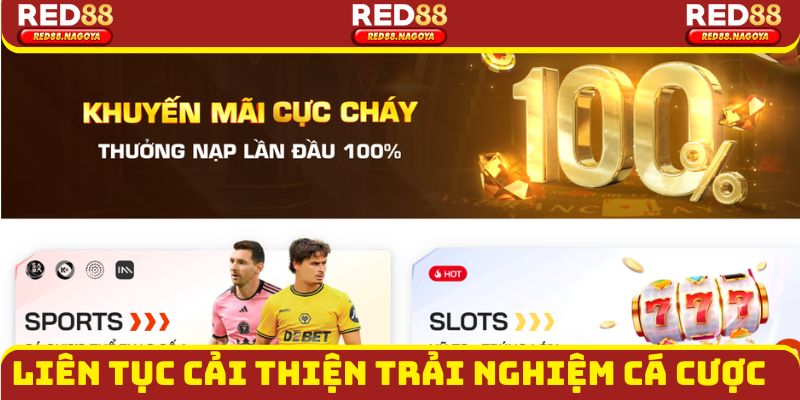 Liên tục cải thiện trải nghiệm cá cược cho hội viên